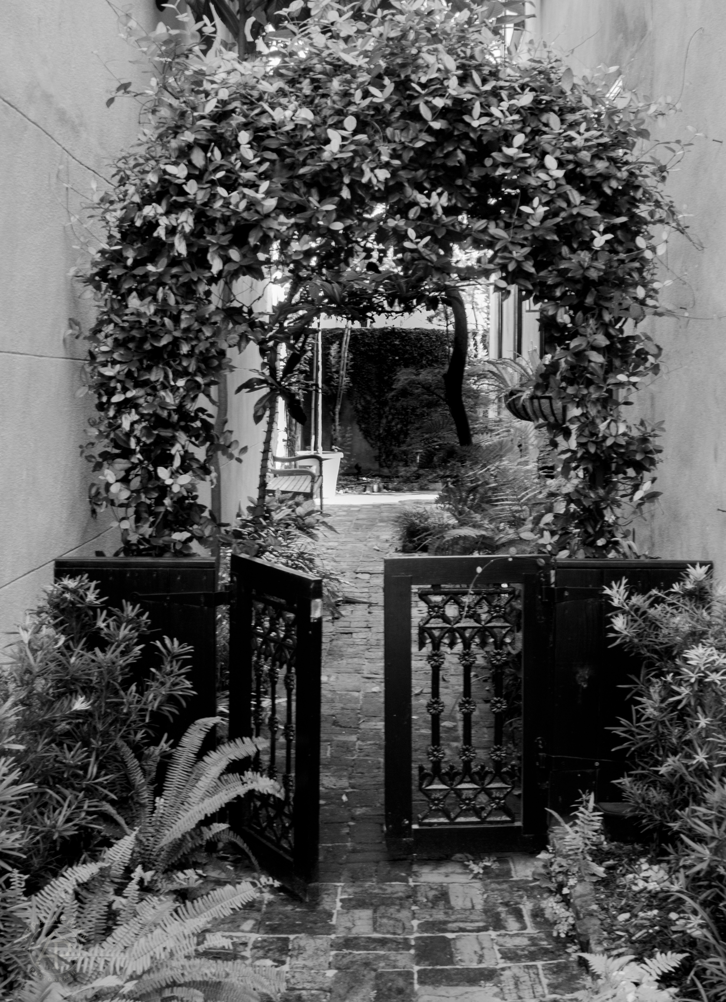 Charleston Garden Gate BW