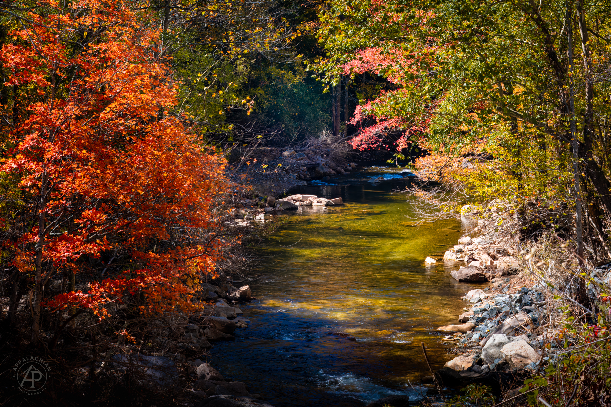 Autumn Stream — Appalachian Mountains